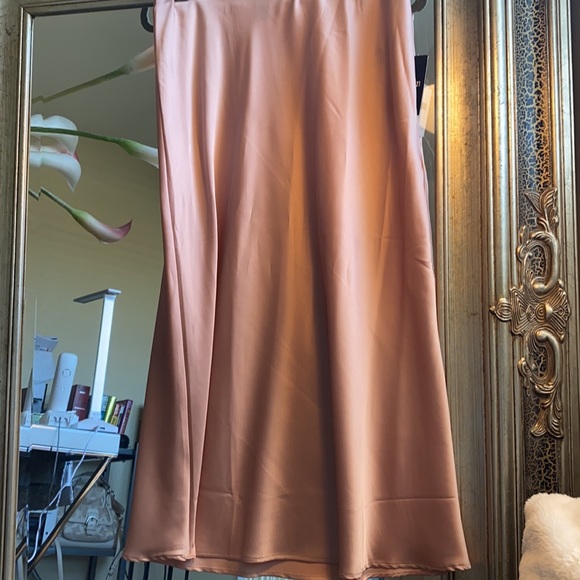 New with tags, Blush pink satin skirt. - Picture 6 of 9